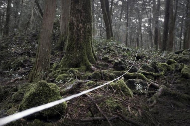 Aokigahara: A "floresta dos suicídios" do Japão