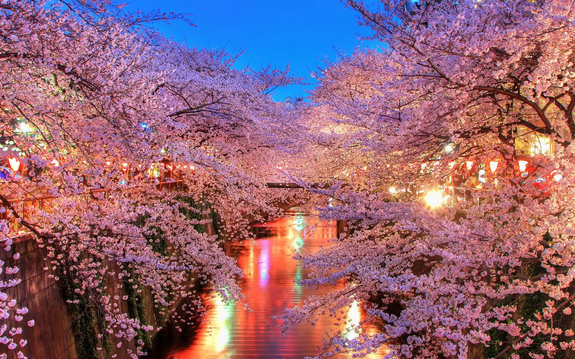 Primavera no Japão
