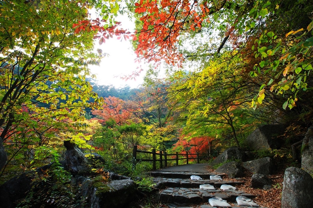 Chichibu-Tama-Kai National Park