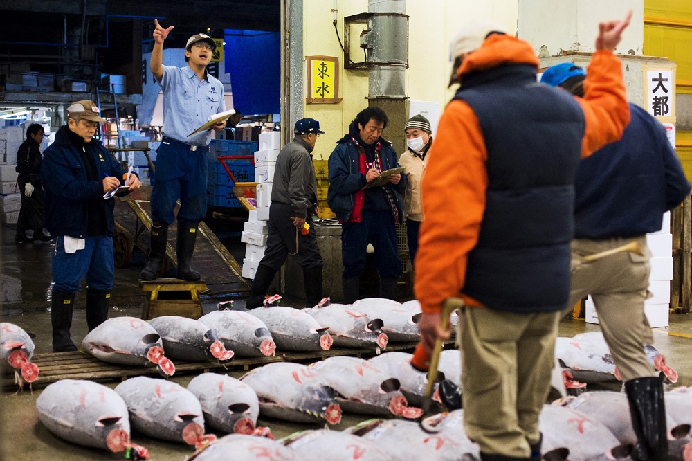 Tsukiji Fish Market