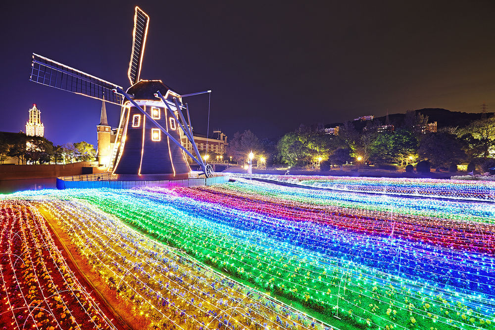 Rainbow Flower Garden