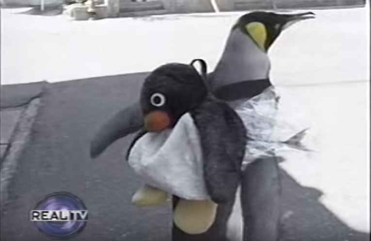 Pinguim Lala