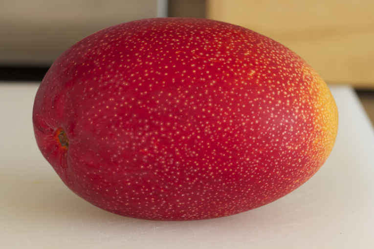Manga Tamago