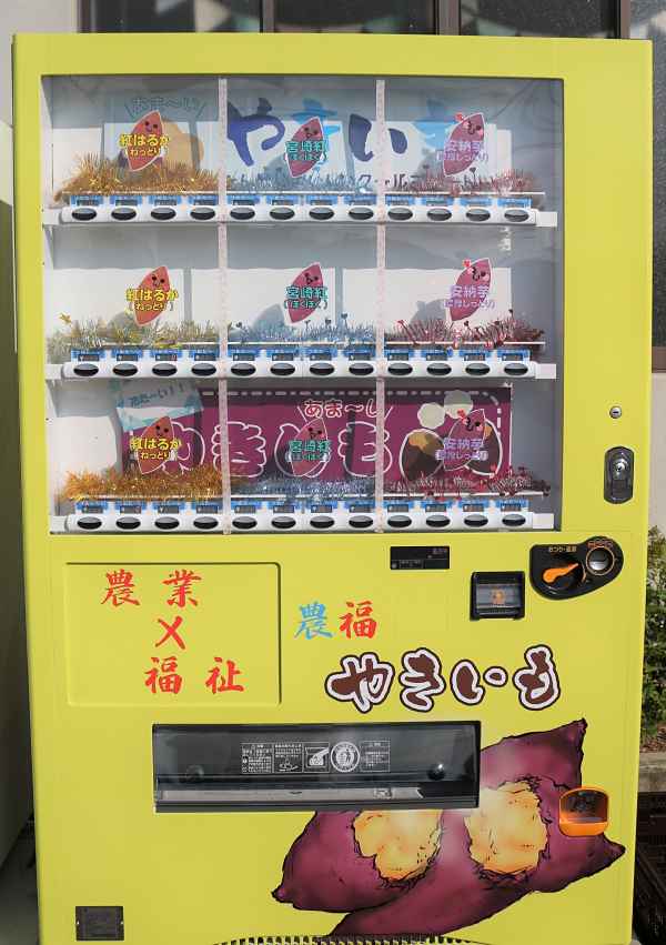 Máquina automática de Yaki-imo
